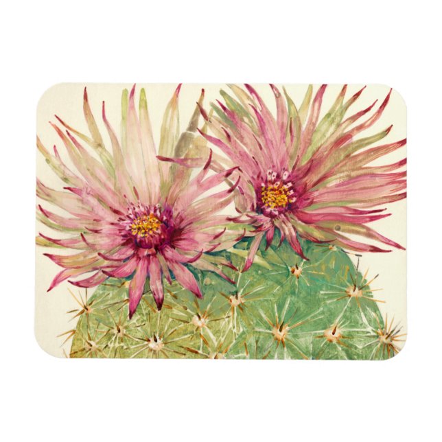 Cactus Pink Blossoms Magnet (Horizontal)