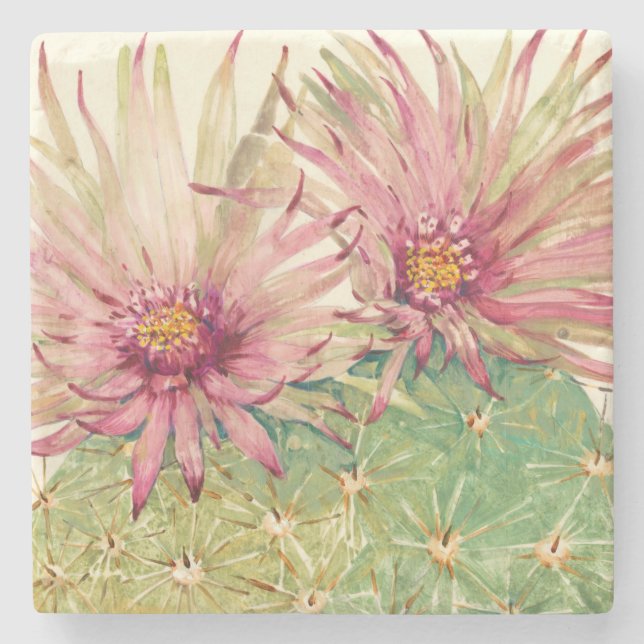 Cactus Pink Blossoms Stone Coaster (Front)