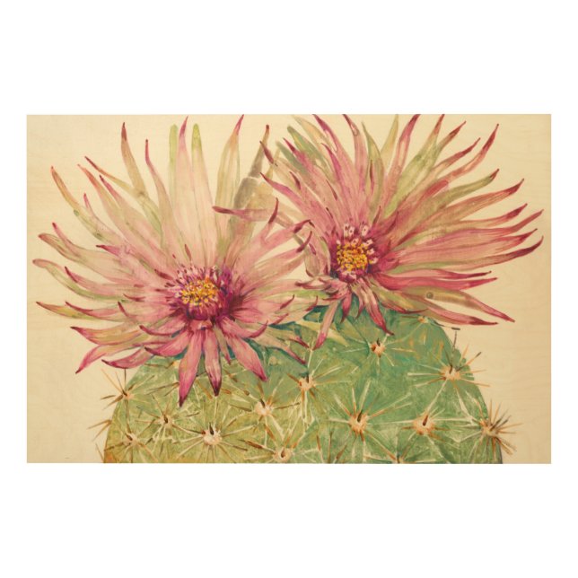 Cactus Pink Blossoms Wood Wall Art (Front)