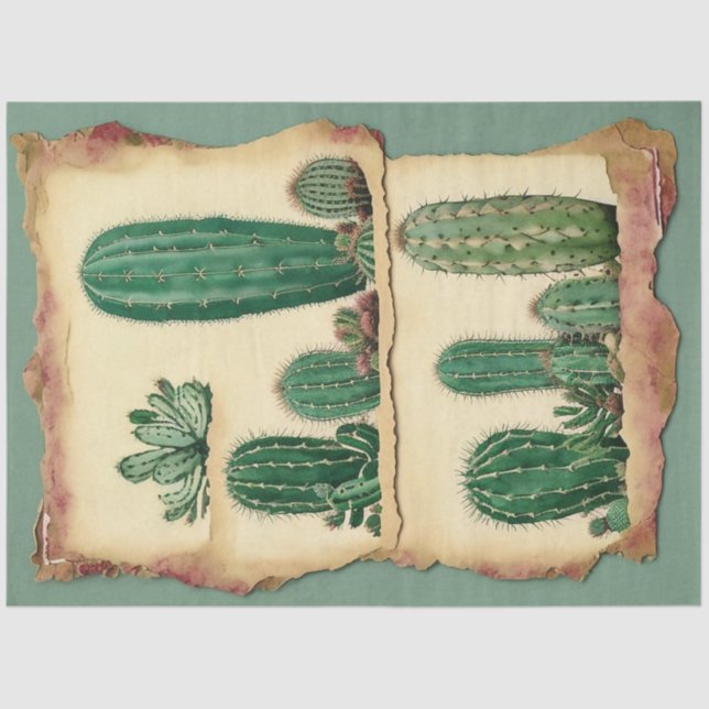 Cactus Plant Ephemera Collage Art No2 Tissue Paper (Front)