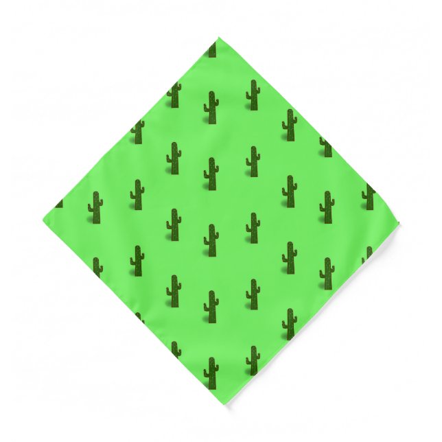 Cactus plant on light green bandana (Front)