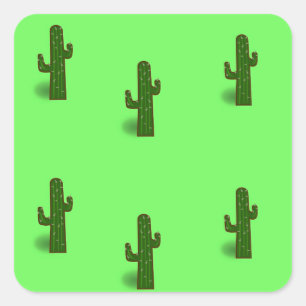 Cactus plant on light green square sticker