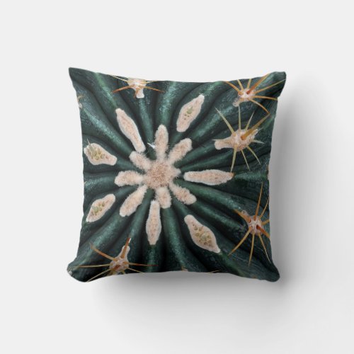 Cactus Plant Photo Throw Cushion 41 cm x 41 cm