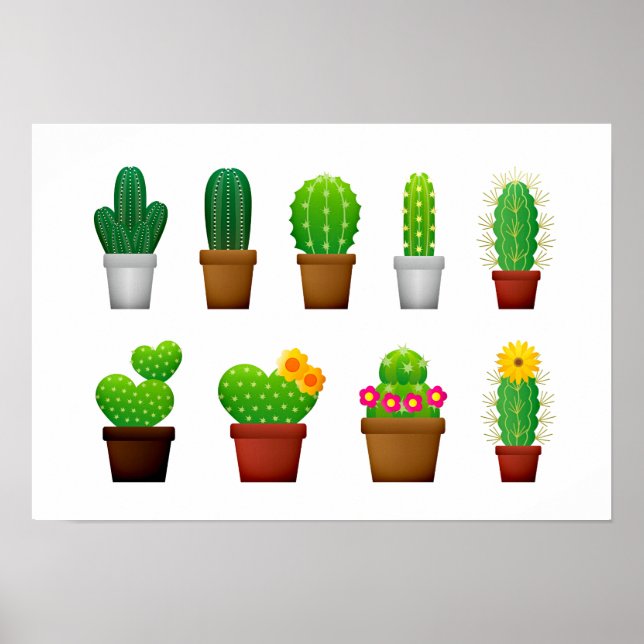Cactus plants background poster (Front)