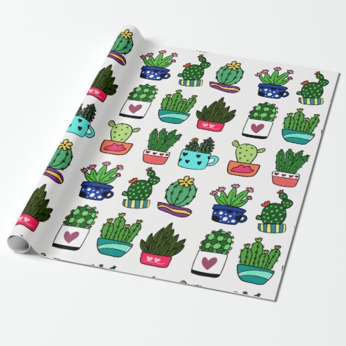 Cactus plants in colorful pot wrapping paper