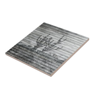 Cactus Plants On Wood Planks Black And White Photo Ceramic Tile