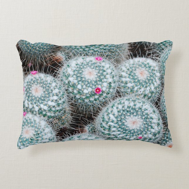 Cactus Plants with Tiny Pink Flowers Accent Pillow (Front)