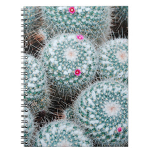 Cactus Plants with Tiny Pink Flowers Notebook