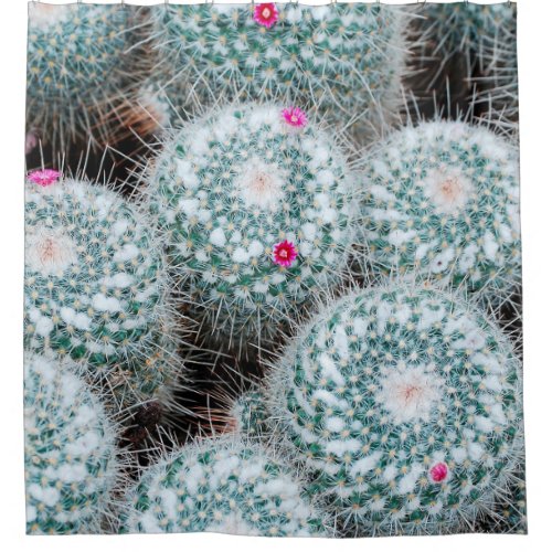 Cactus Plants with Tiny Pink Flowers Shower Curtain