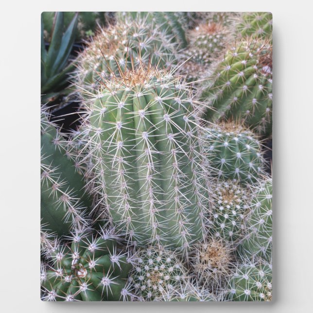 Cactus Plaque (Front)
