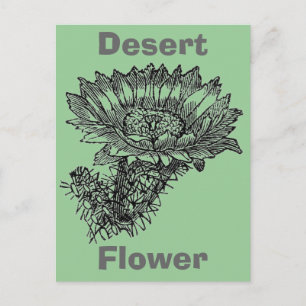 Cactus Postcard