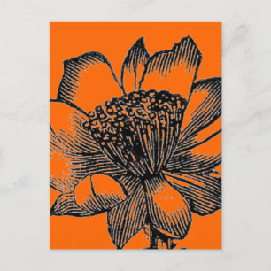 Cactus Postcard