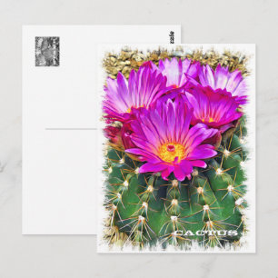 Cactus Postcard