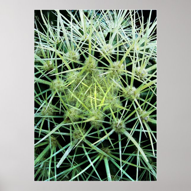 Cactus Poster (Front)