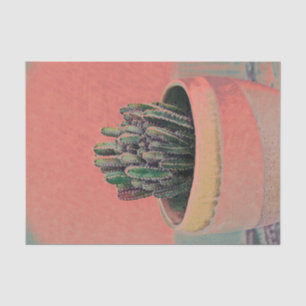 Cactus Potted House Plant Colorful Art Design Tissue Paper