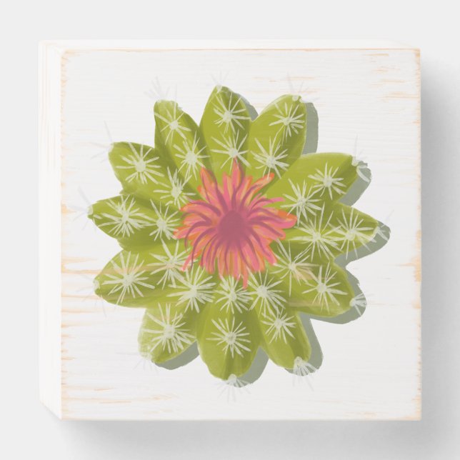 cactus Powder Puff Wooden Box Sign (Front Horizontal)