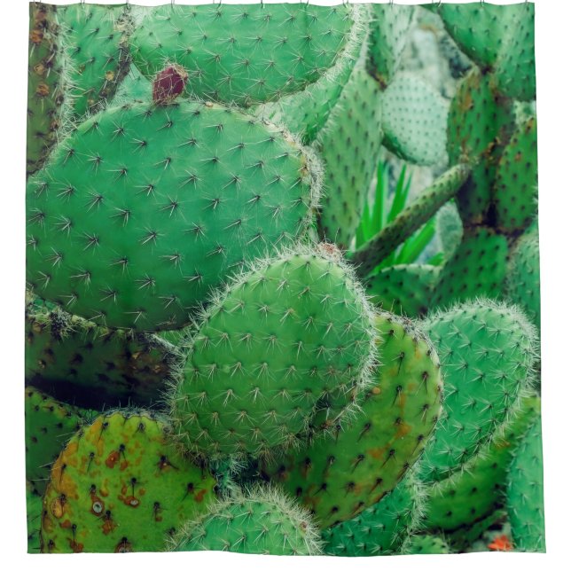 Cactus, prickly pear cactus ,cactus spines, close  shower curtain (Front)