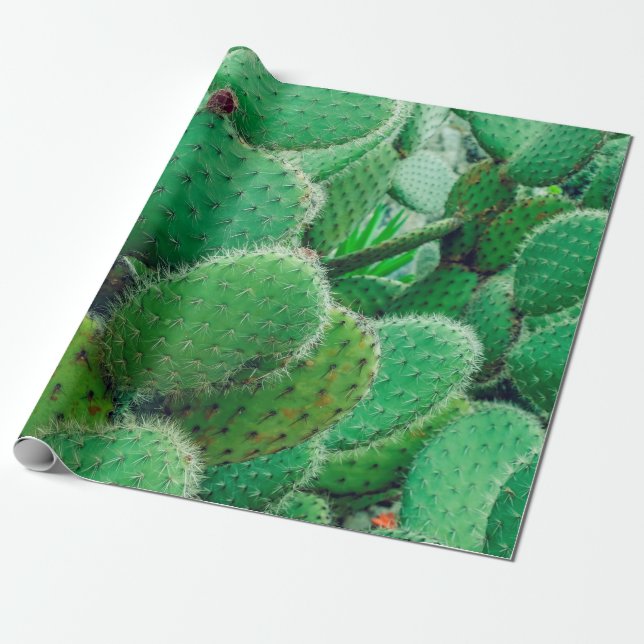Cactus, prickly pear cactus ,cactus spines, close  wrapping paper (Unrolled)