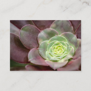 Cactus Print   A Desert Cactus Flower Business Card