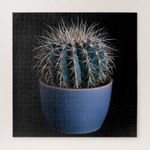 Cactus Puzzle