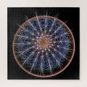 Cactus Puzzle