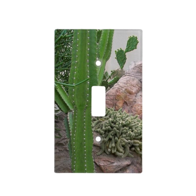 Cactus Rocks Cacti Southwest Landscape Light Switch Cover (Front)