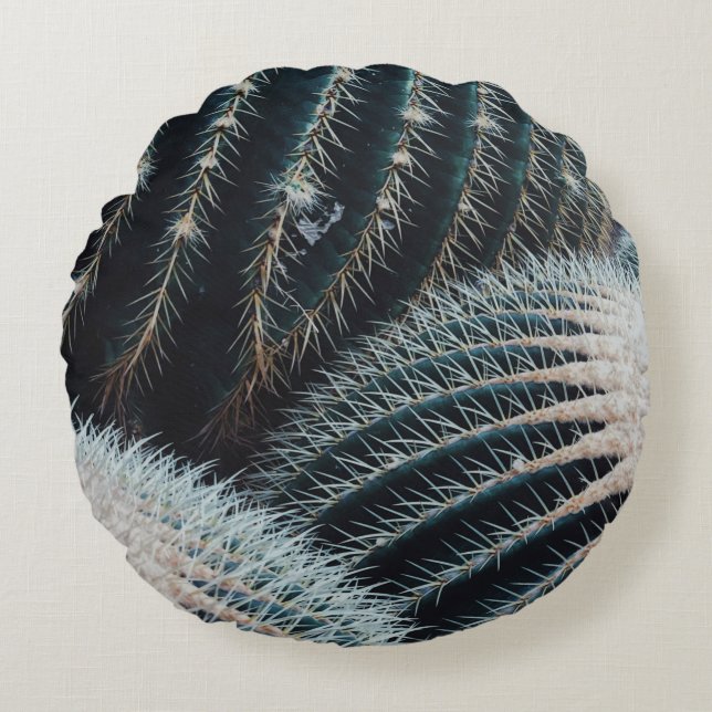 Cactus Round Pillow (Front)
