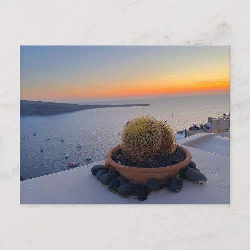 Cactus Santorini Greece Sunset Photography Postcard
