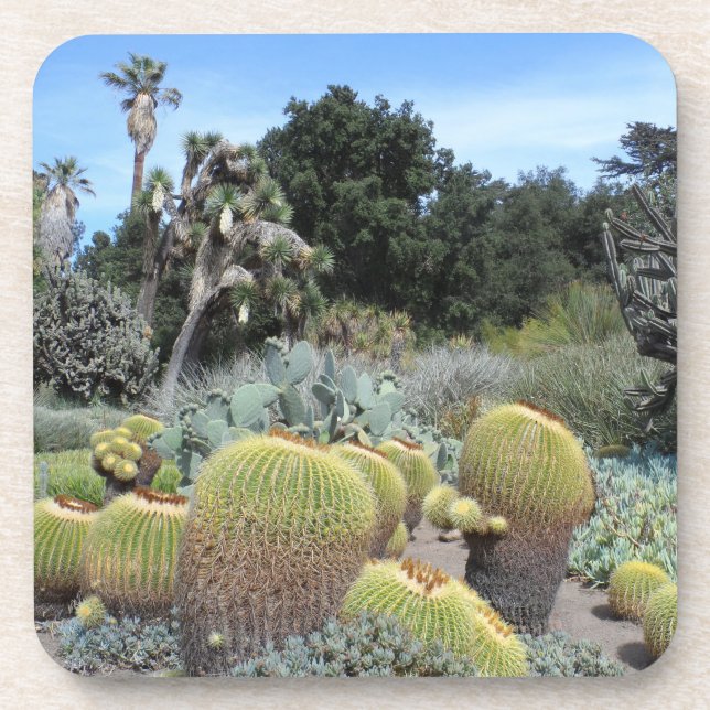 Cactus Scene Coaster (Front)