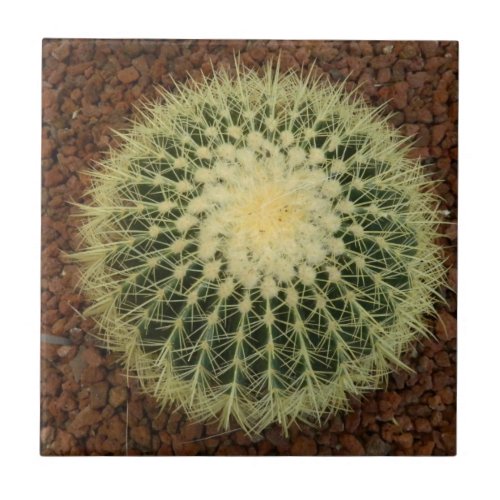Cactus Small 425 x 425 Ceramic Photo Tile