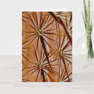 Cactus Spines Greeting Card