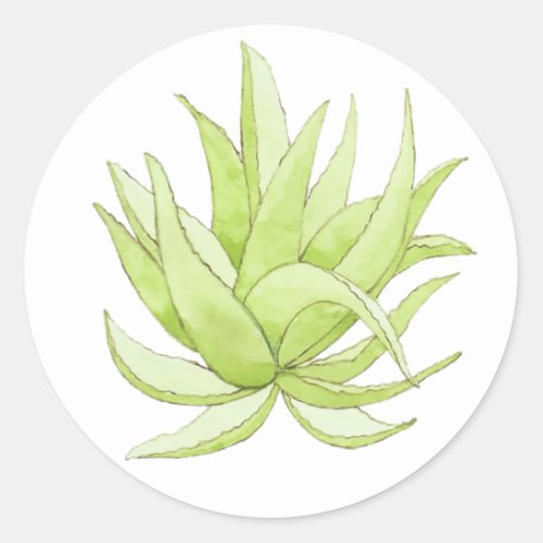 cactus sticker aloe vera