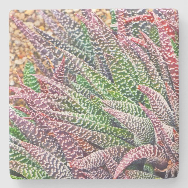"CACTUS" STONE COASTER (Front)
