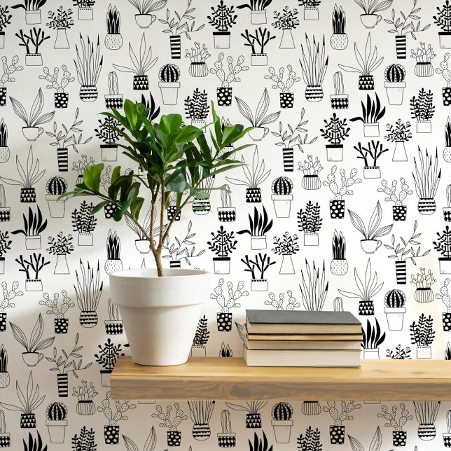 Cactus Succulent Black and White Art Wallpaper (Cactus cacti succulent house plant black and white art wallpaper)