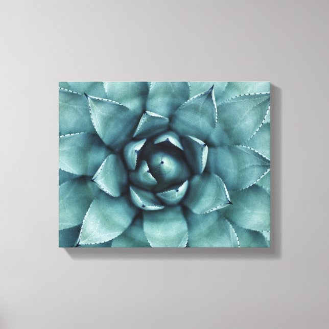 Cactus Succulent Cacti Canvas Art (Front)