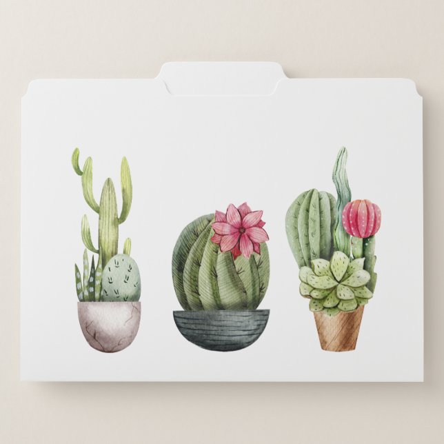 Cactus Succulent Cacti Southwest Desert File Folder