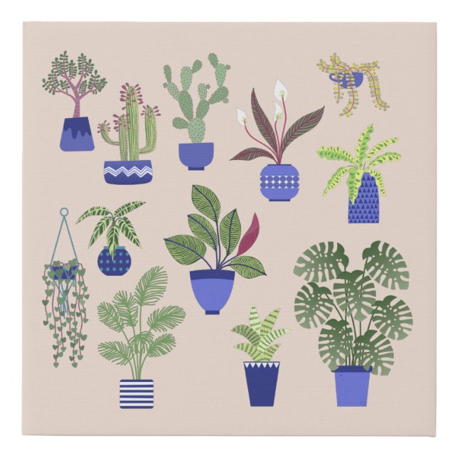 Cactus Succulent Houseplant Pink Faux Canvas Print (Front)