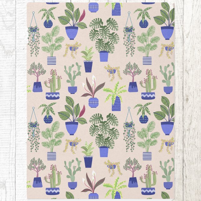 Cactus Succulent Houseplant Rug (Cactus houseplant succulents indoor or outdoor rug)