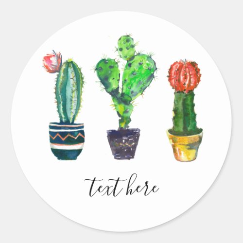 cactus succulent watercolor fiesta mexican classic round sticker