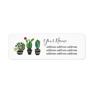 cactus, succulent, watercolor, fiesta, mexican label