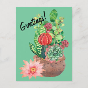 Cactus, Succulents, Cactus Flower, Arrangement Postcard