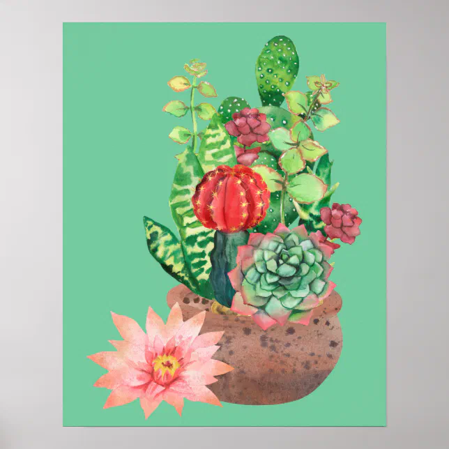 calathea tricolor Stromanthe Triostar | Tricolor Ginger