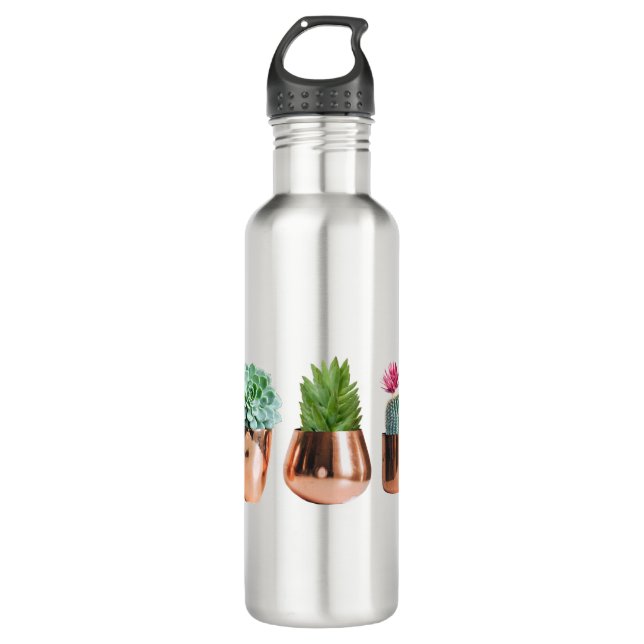 Cactus & Succulents in Rose Gold Pots Stainless Steel Water Bottle (Front)