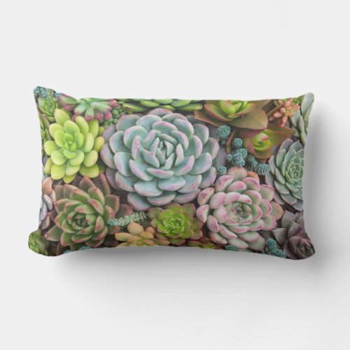 Cactus Succulents throw pillows