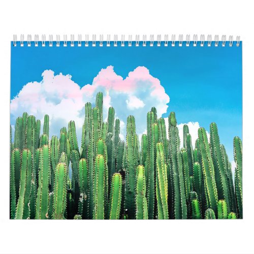 Cactus Summer Calendar