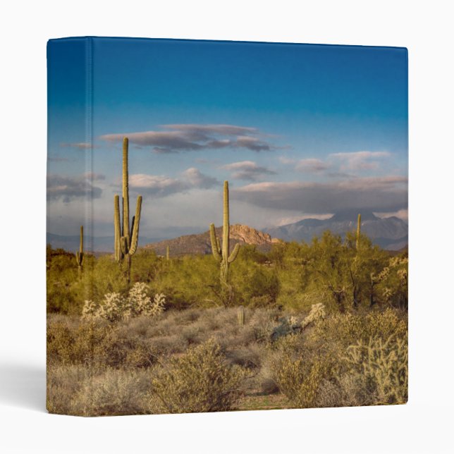 Cactus Sunset in Arizona 3 Ring Binder (Front/Spine)