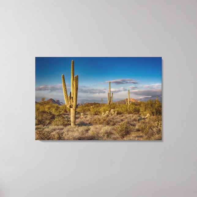 Cactus Sunset in Arizona Canvas Print (Front)