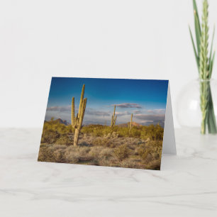 Cactus Sunset in Arizona Card