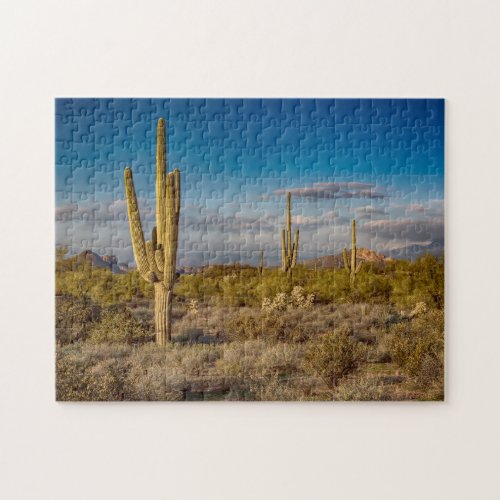 Cactus Sunset in Arizona Jigsaw Puzzle