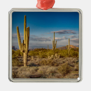 Cactus Sunset in Arizona Metal Ornament
